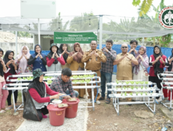 Strategi Ketahanan Pangan PT Semen Baturaja: Sulap Lahan Terbatas Air Gading Menjadi Sentra Hidroponik Modern